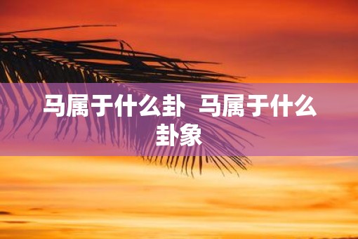 马属于什么卦  马属于什么卦象