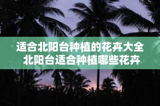 适合北阳台种植的花卉大全 北阳台适合种植哪些花卉