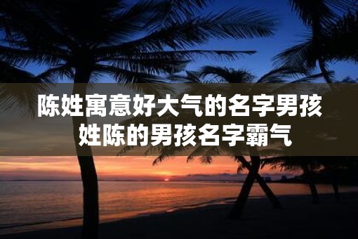 陈姓寓意好大气的名字男孩  姓陈的男孩名字霸气