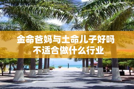 金命爸妈与土命儿子好吗  不适合做什么行业