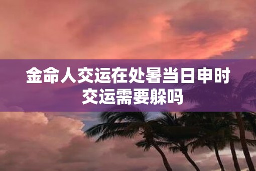金命人交运在处暑当日申时  交运需要躲吗