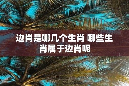 边肖是哪几个生肖 哪些生肖属于边肖呢