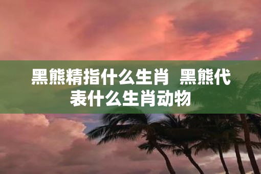 黑熊精指什么生肖  黑熊代表什么生肖动物