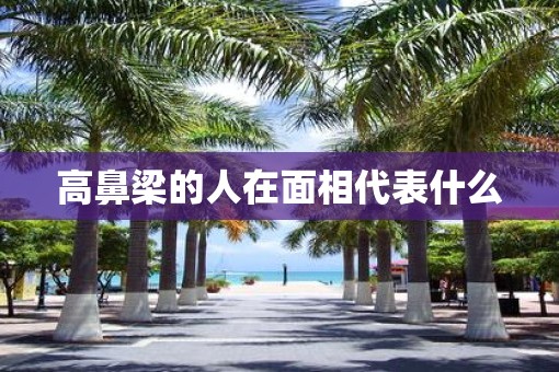 高鼻梁的人在面相代表什么