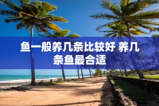 鱼一般养几条比较好 养几条鱼最合适
