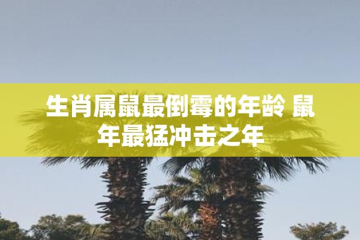 生肖属鼠最倒霉的年龄 鼠年最猛冲击之年