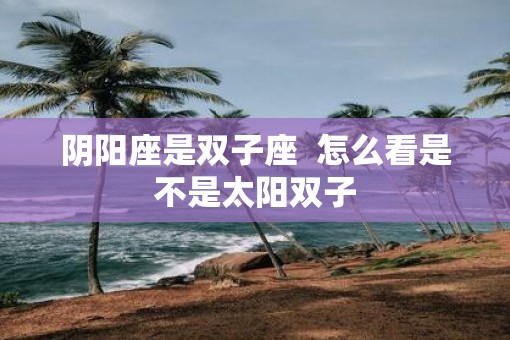 阴阳座是双子座  怎么看是不是太阳双子