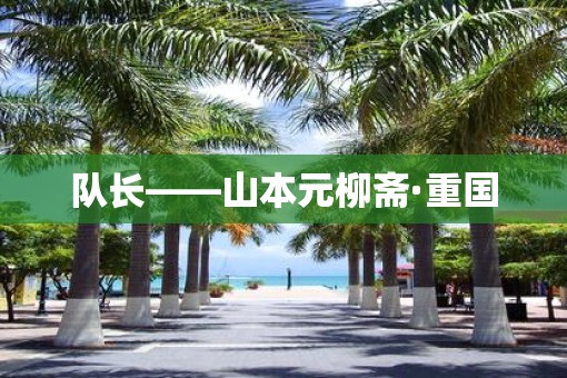 队长——山本元柳斋·重国
