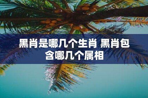 黑肖是哪几个生肖 黑肖包含哪几个属相