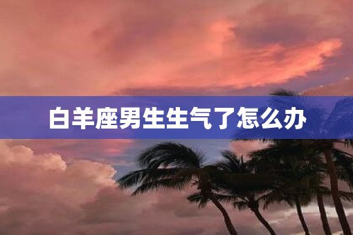 白羊座男生生气了怎么办