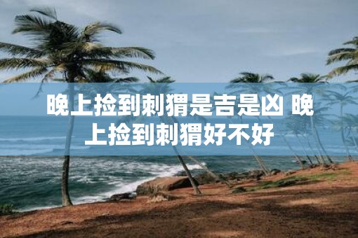 晚上捡到刺猬是吉是凶 晚上捡到刺猬好不好