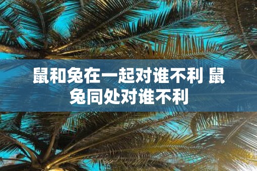 鼠和兔在一起对谁不利 鼠兔同处对谁不利