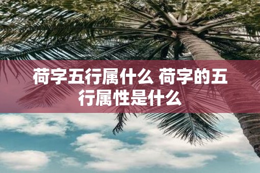荷字五行属什么 荷字的五行属性是什么
