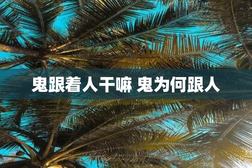鬼跟着人干嘛 鬼为何跟人