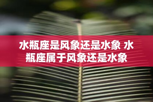 水瓶座是风象还是水象 水瓶座属于风象还是水象