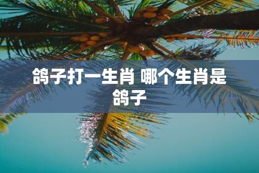 鸽子打一生肖 哪个生肖是鸽子