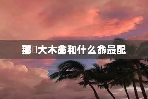 那麼大木命和什么命最配