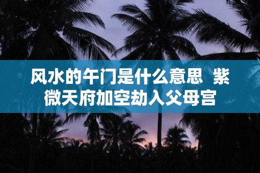 风水的午门是什么意思  紫微天府加空劫入父母宫