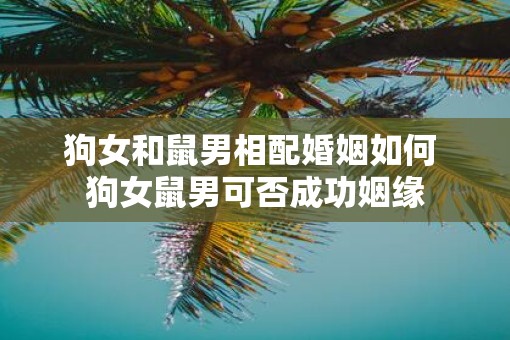 狗女和鼠男相配婚姻如何 狗女鼠男可否成功姻缘
