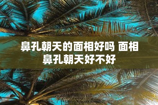 鼻孔朝天的面相好吗 面相鼻孔朝天好不好