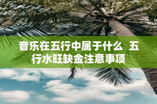 音乐在五行中属于什么  五行水旺缺金注意事项