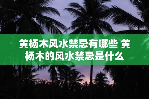 黄杨木风水禁忌有哪些 黄杨木的风水禁忌是什么