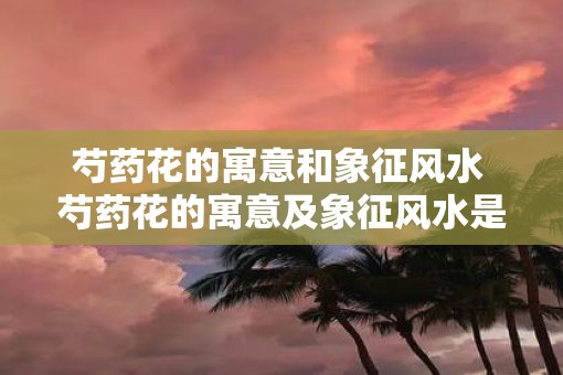 芍药花的寓意和象征风水 芍药花的寓意及象征风水是什么