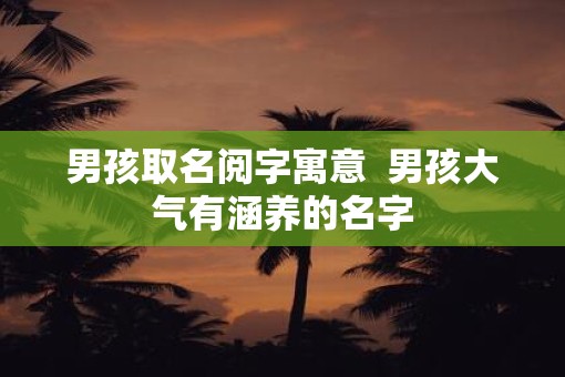 男孩取名阅字寓意  男孩大气有涵养的名字