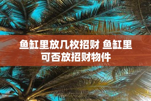 鱼缸里放几枚招财 鱼缸里可否放招财物件