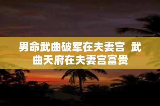 男命武曲破军在夫妻宫  武曲天府在夫妻宫富贵