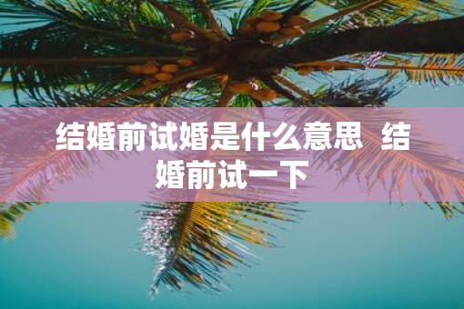结婚前试婚是什么意思  结婚前试一下