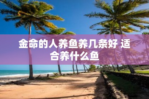 金命的人养鱼养几条好 适合养什么鱼