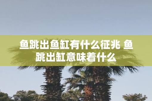 鱼跳出鱼缸有什么征兆 鱼跳出缸意味着什么