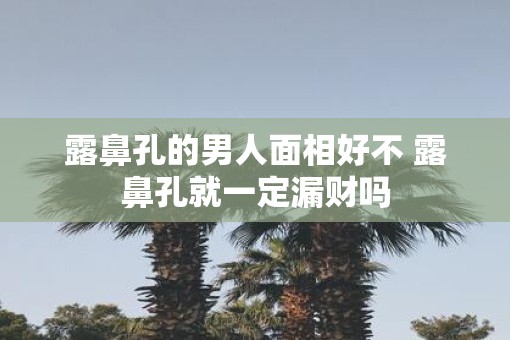 露鼻孔的男人面相好不 露鼻孔就一定漏财吗