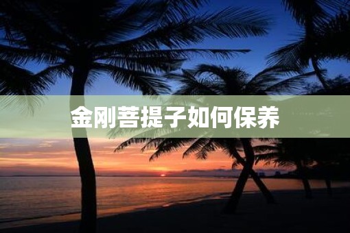 金刚菩提子如何保养