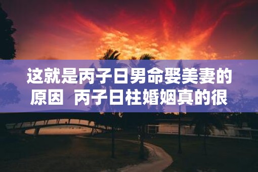 这就是丙子日男命娶美妻的原因  丙子日柱婚姻真的很惨