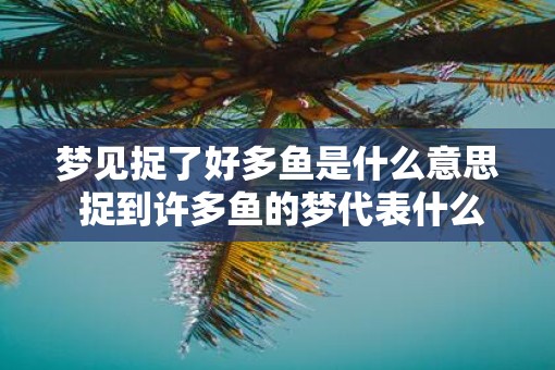 梦见捉了好多鱼是什么意思 捉到许多鱼的梦代表什么