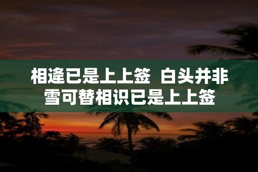 相逄已是上上签  白头并非雪可替相识已是上上签