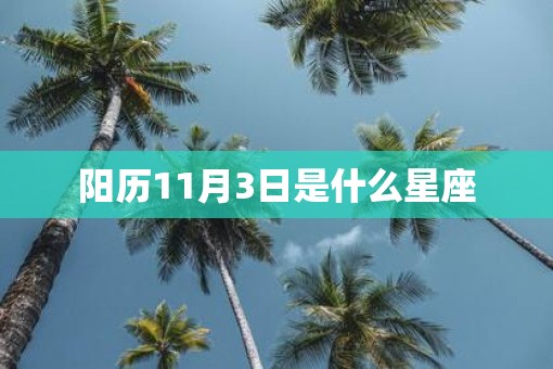 阳历11月3日是什么星座