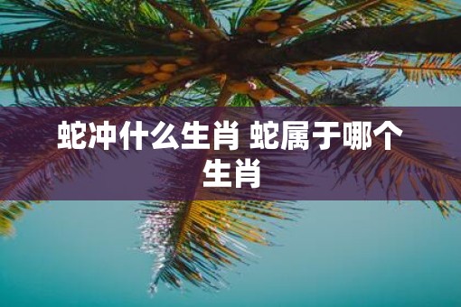 蛇冲什么生肖 蛇属于哪个生肖