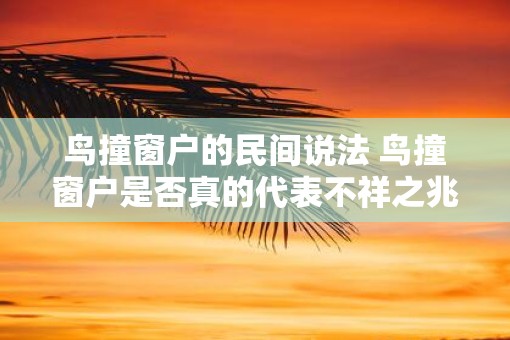 鸟撞窗户的民间说法 鸟撞窗户是否真的代表不祥之兆