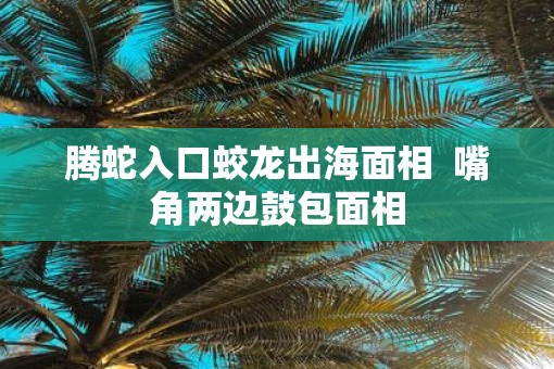 腾蛇入口蛟龙出海面相  嘴角两边鼓包面相