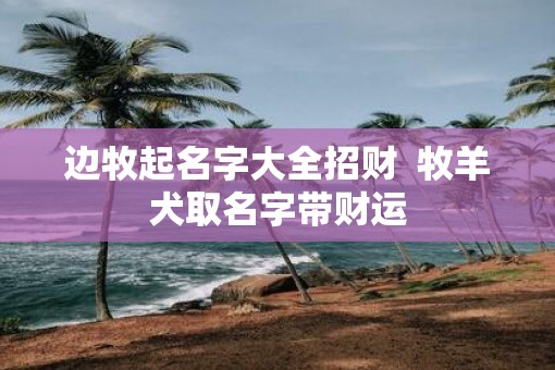 边牧起名字大全招财  牧羊犬取名字带财运