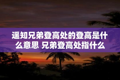 遥知兄弟登高处的登高是什么意思 兄弟登高处指什么