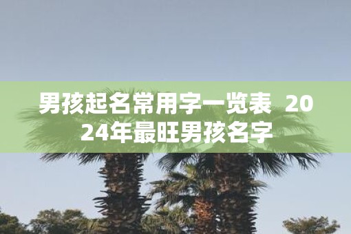 男孩起名常用字一览表  2025年最旺男孩名字