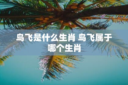 鸟飞是什么生肖 鸟飞属于哪个生肖
