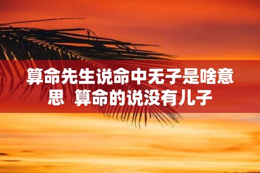 算命先生说命中无子是啥意思 算命的说没有儿子