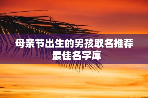母亲节出生的男孩取名推荐  最佳名字库