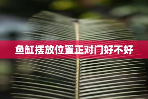 鱼缸摆放位置正对门好不好