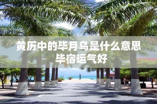 黄历中的毕月乌是什么意思  毕宿运气好